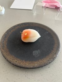 体験記画像 2