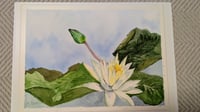 体験記画像 1