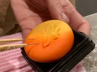 体験記画像 3