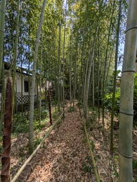 体験記画像 4