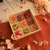 体験記画像 1