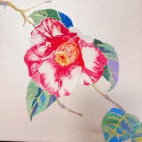 体験記画像 1