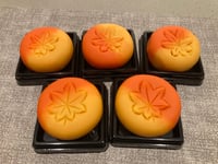体験記画像 6