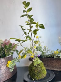 体験記画像 3