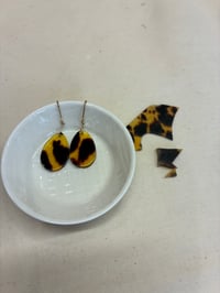 体験記画像 1