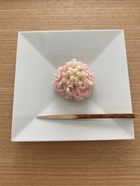 体験記画像 1