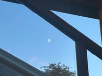 体験記画像 1