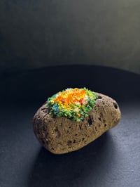 体験記画像 2