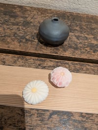 体験記画像 1