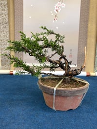 体験記画像 1