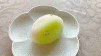 体験記画像 1