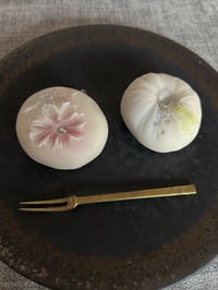 体験記画像 1