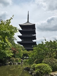 体験記画像 1