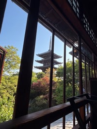体験記画像 4