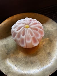 体験記画像 3