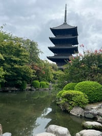 体験記画像 1
