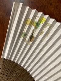 体験記画像 1