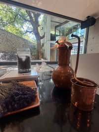 体験記画像 2