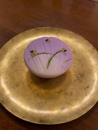体験記画像 1