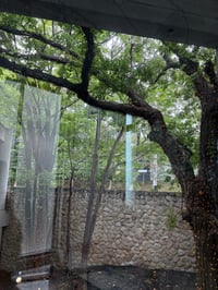 体験記画像 1