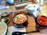 体験記画像 5