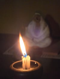 体験記画像 6