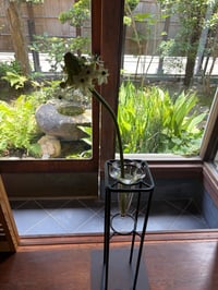 体験記画像 1