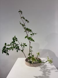 体験記画像 1