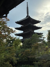 体験記画像 2
