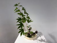 体験記画像 1