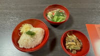 体験記画像 1