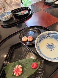 体験記画像 1