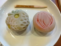 体験記画像 1