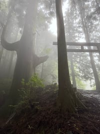 体験記画像 1