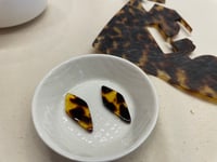 体験記画像 1