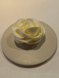 体験記画像 1