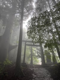 体験記画像 2