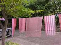 体験記画像 1