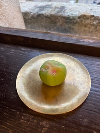 体験記画像 1
