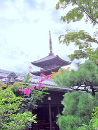 体験記画像 3