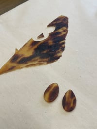 体験記画像 5