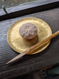 体験記画像 2