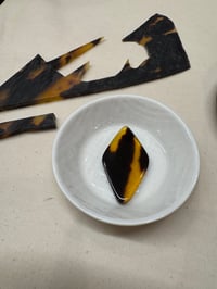 体験記画像 1