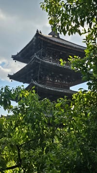 体験記画像 4