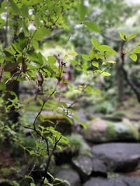 体験記画像 3