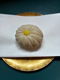 体験記画像 1