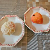 体験記画像 1