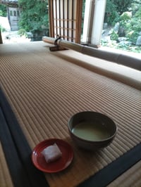 体験記画像 1
