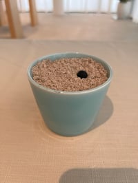 体験記画像 1