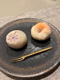 体験記画像 1